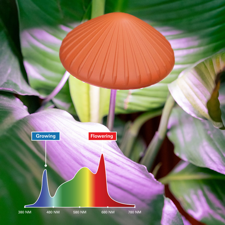Mushroom Grow Light