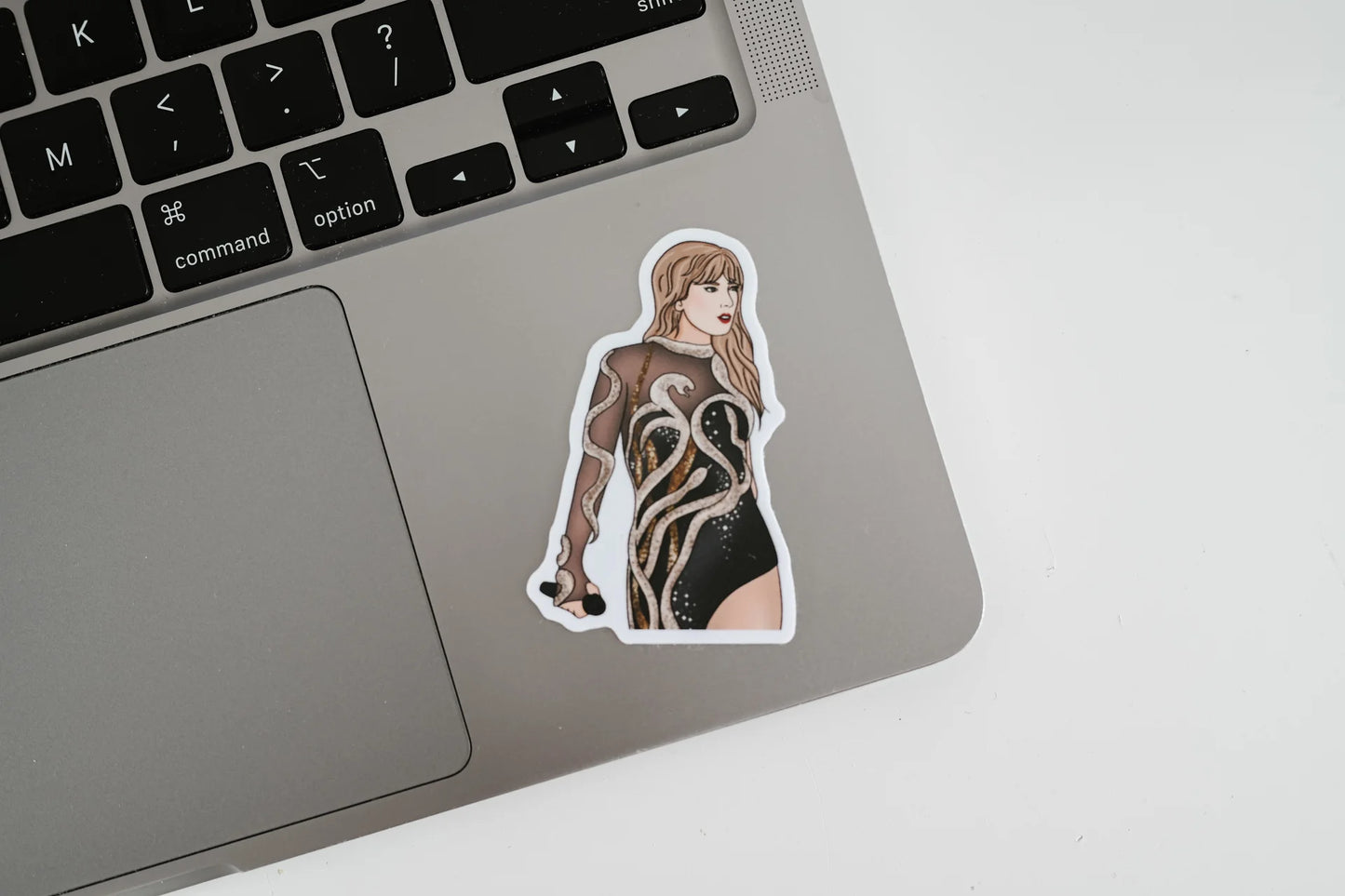 S51 Taylor Reputation Pop Culture Sticker
