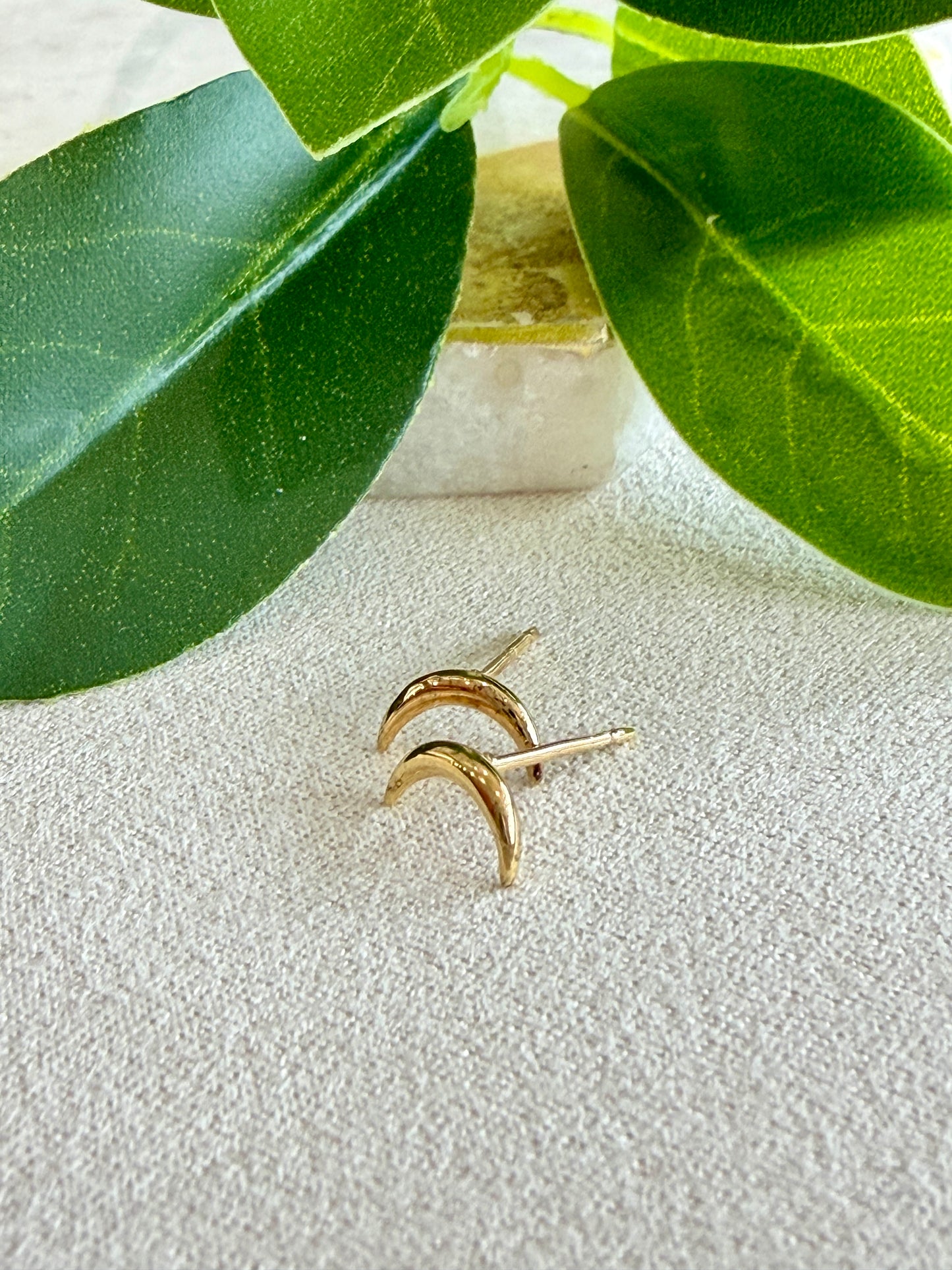Rounded Crescent Moon Stud Earrings