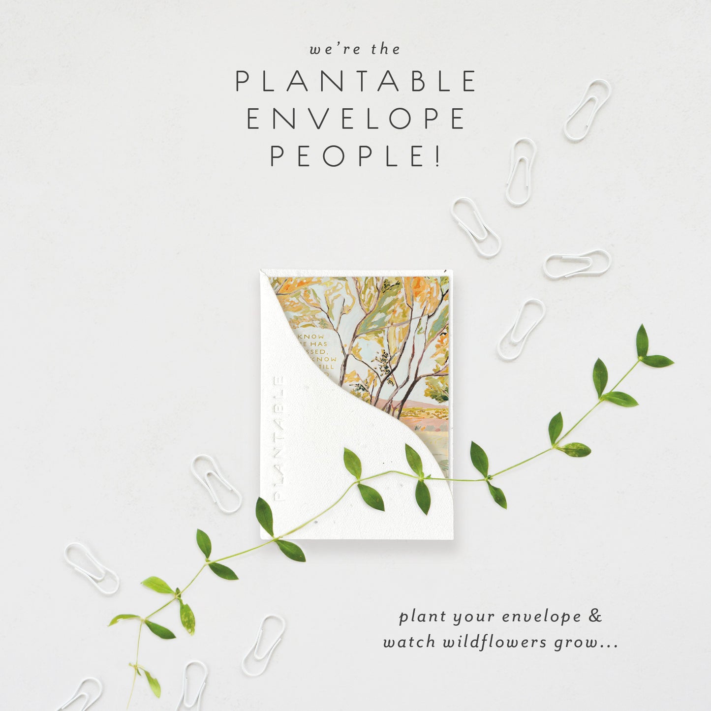 In the Shade Sympathy Spouts Mini Greeting Card