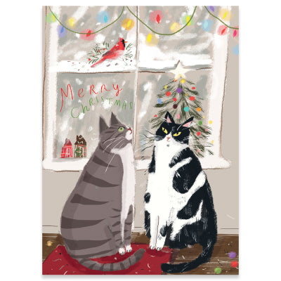 Cats And Cardinal Card