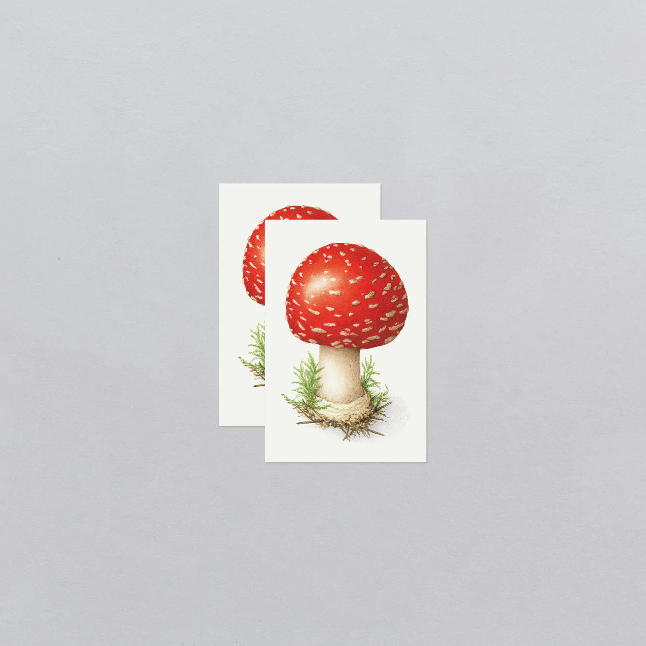 Toadstool Temporary Tattoos