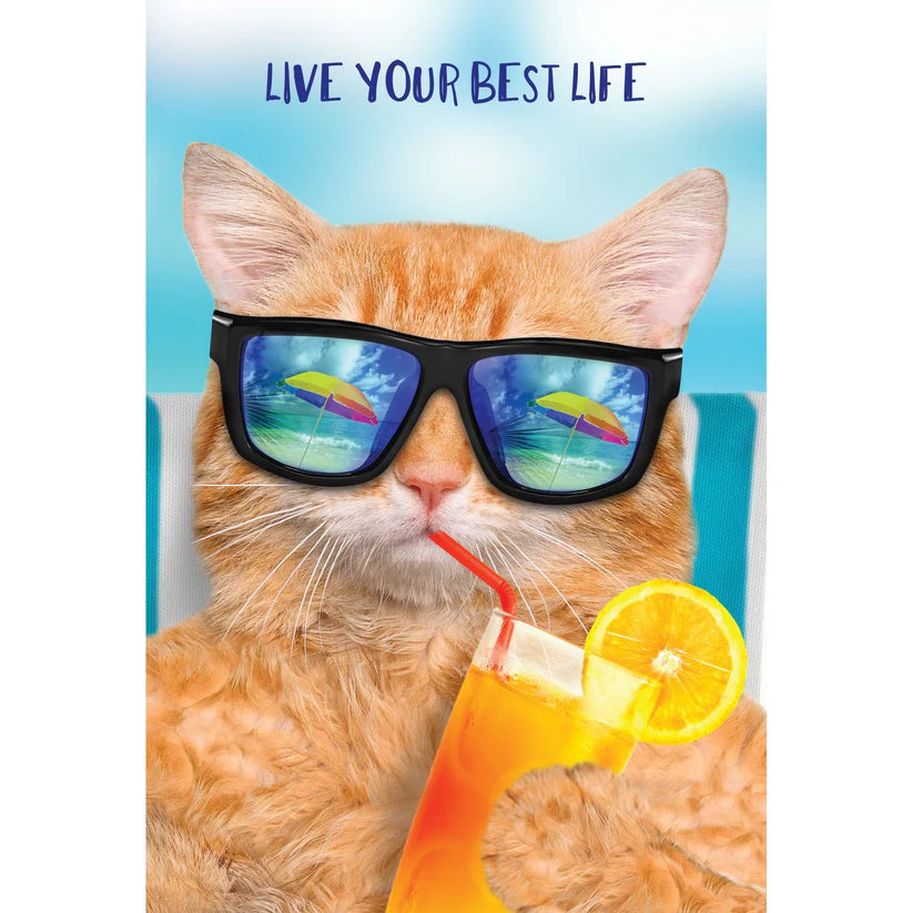 Best Life Cool Cat  Birthday Card