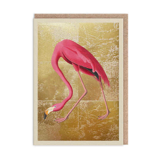 Greater Flamingo Greeting Card
