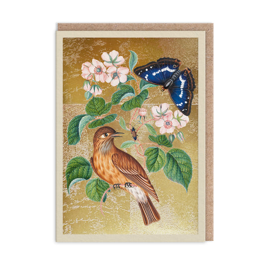 Wren Greeting Card