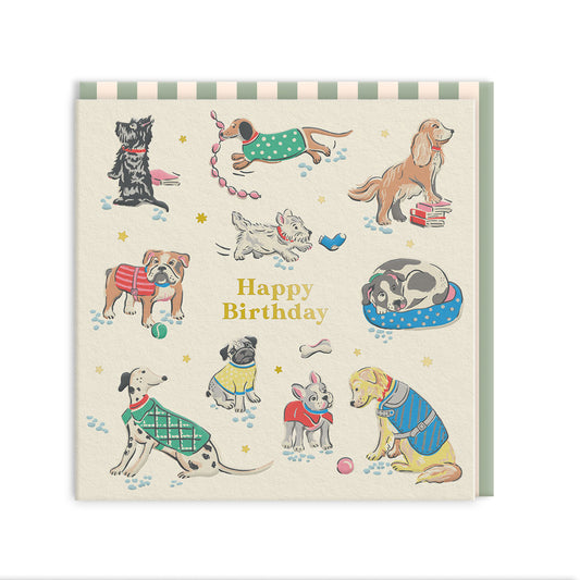 Dogs Greeting Card