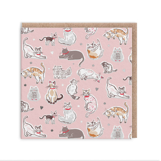 Cats Greeting Card