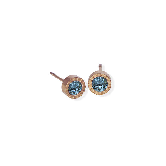 Circle Textured Edge Cz Stone Rose Gold Earrings