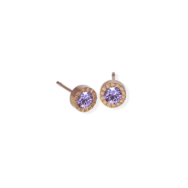 Circle Textured Edge Cz Stone Rose Gold Earrings