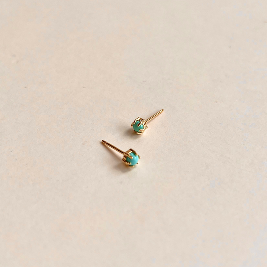 Claw Set Turquoise Stud With 6 Prongs Earrings