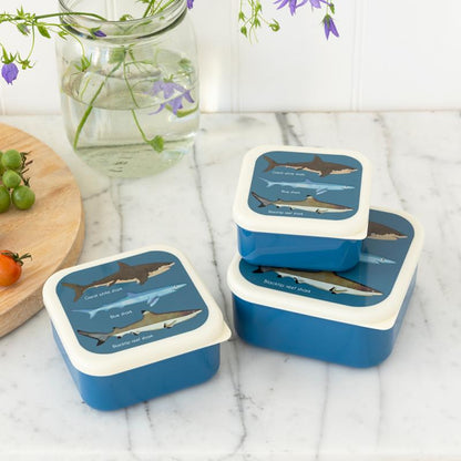 Sharks Snack Boxes Set of 3