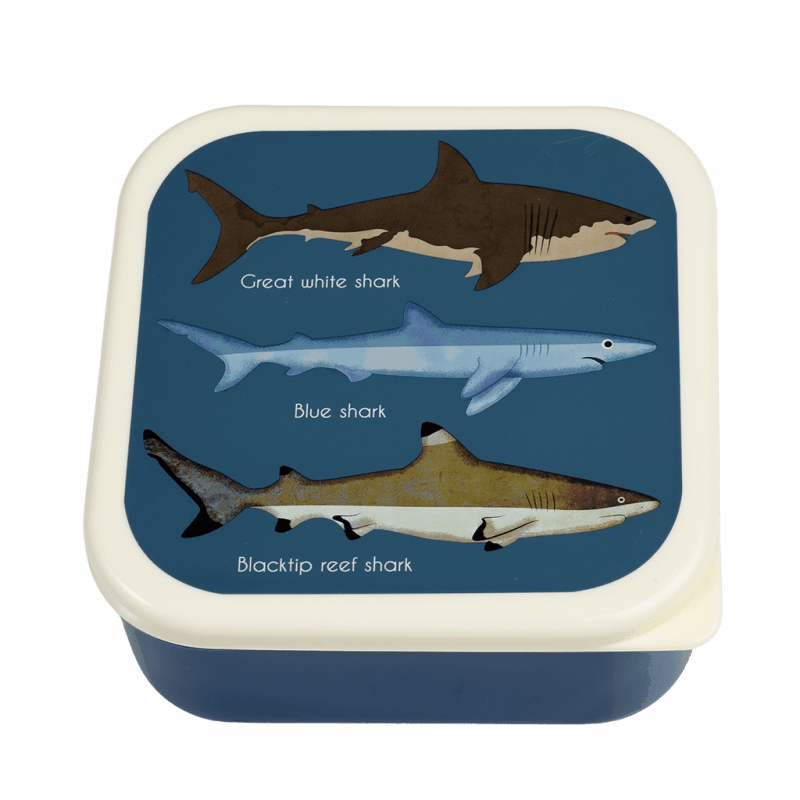 Sharks Snack Boxes Set of 3