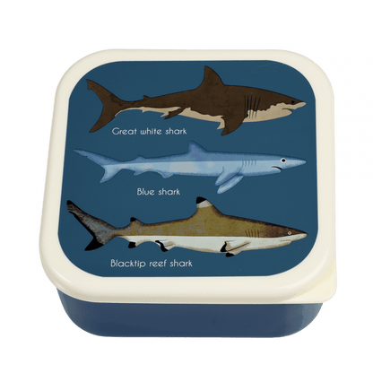 Sharks Snack Boxes Set of 3