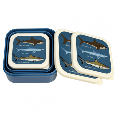 Sharks Snack Boxes Set of 3