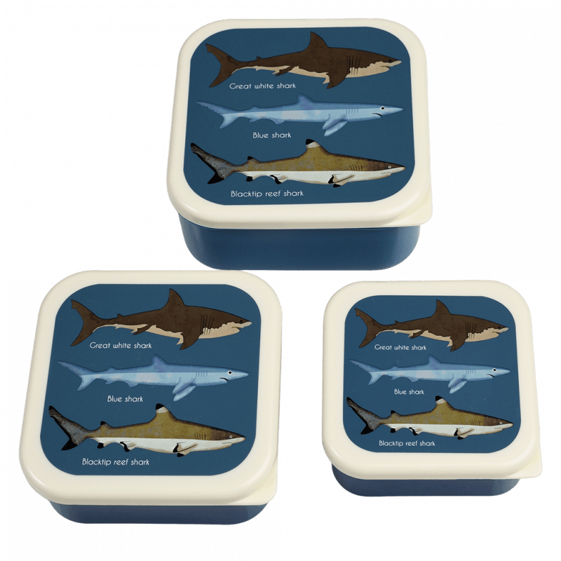 Sharks Snack Boxes Set of 3