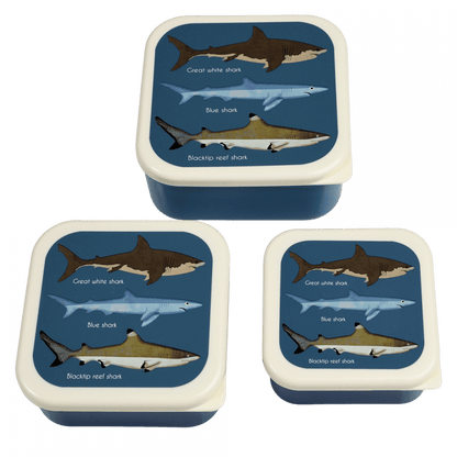 Sharks Snack Boxes Set of 3