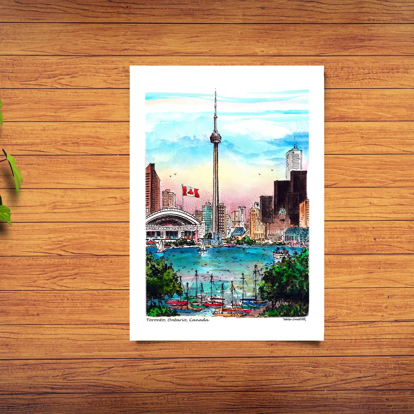 Toronto CN Tower Postcard