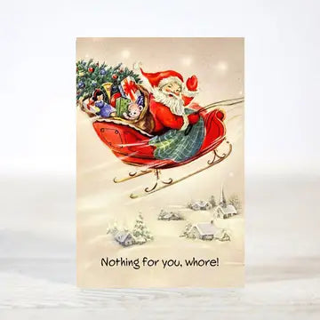Mini 12 Days of Sarcastic Christmas Boxed Cards