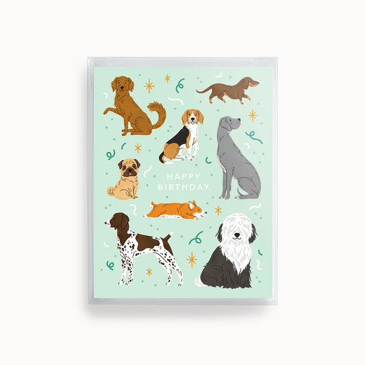 Dog Birthday Boxed Cards