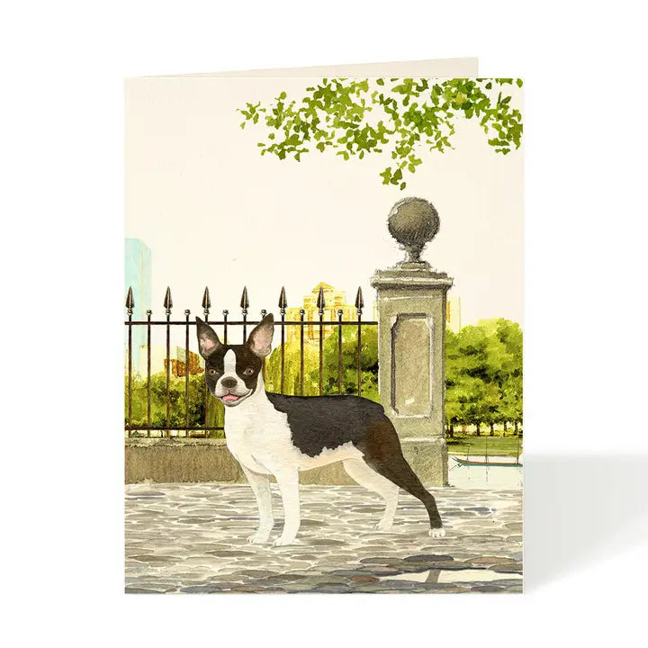 Boston Terrier Card