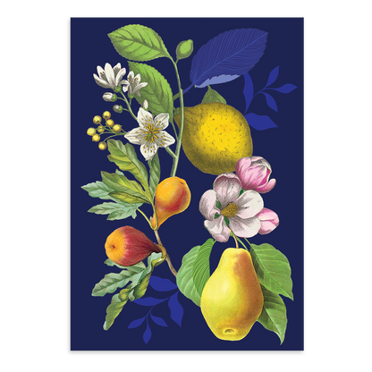 Vintage Floral Fruit Blank Boxed Note Cards