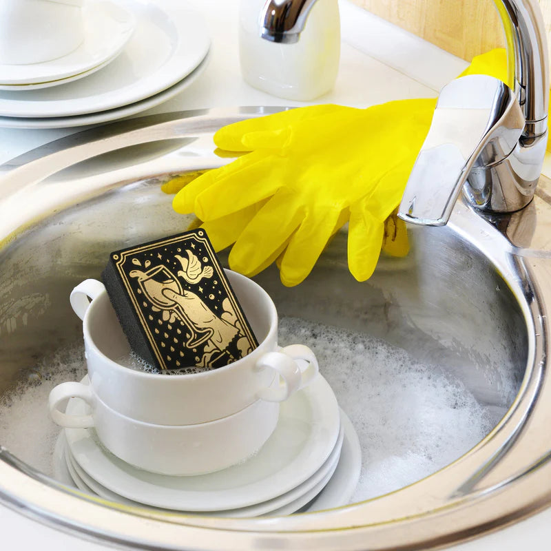 Sponges Clean Fate