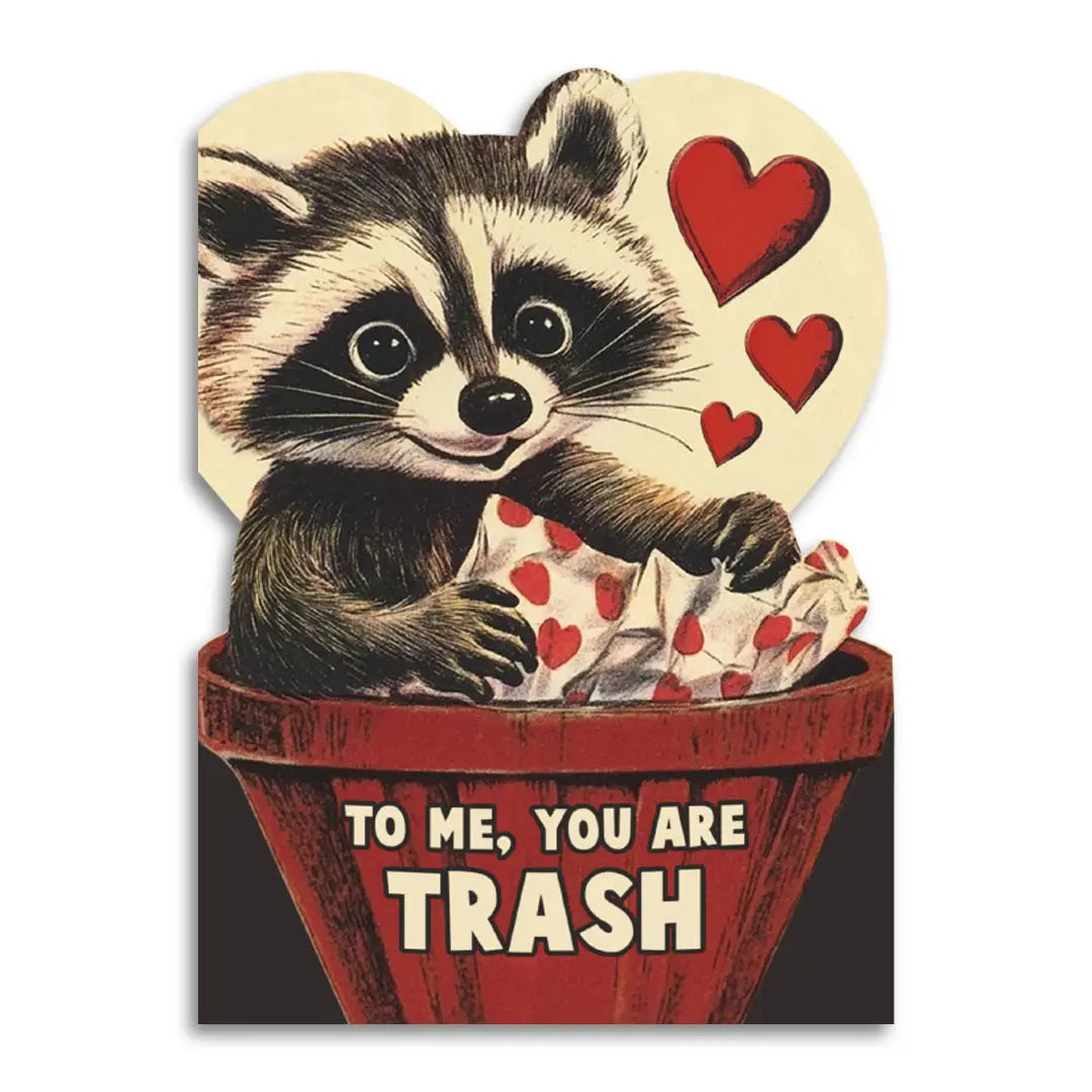 To Me, You Are Trash Cute Raccoon Valentine's Day Card
