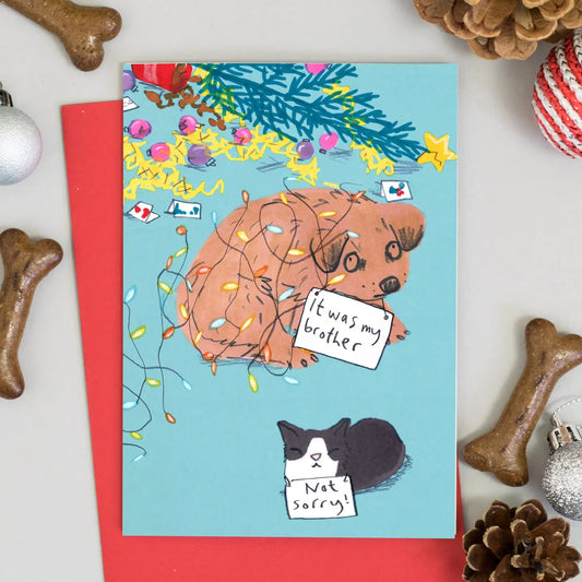 Not Sorry Cat Dog Christmas Card