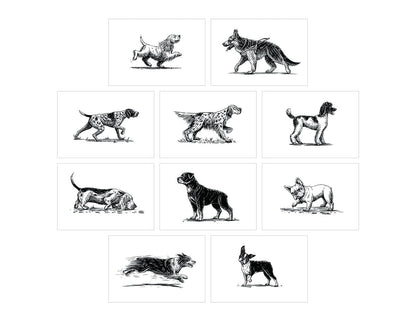 Dog Box Postcard Set