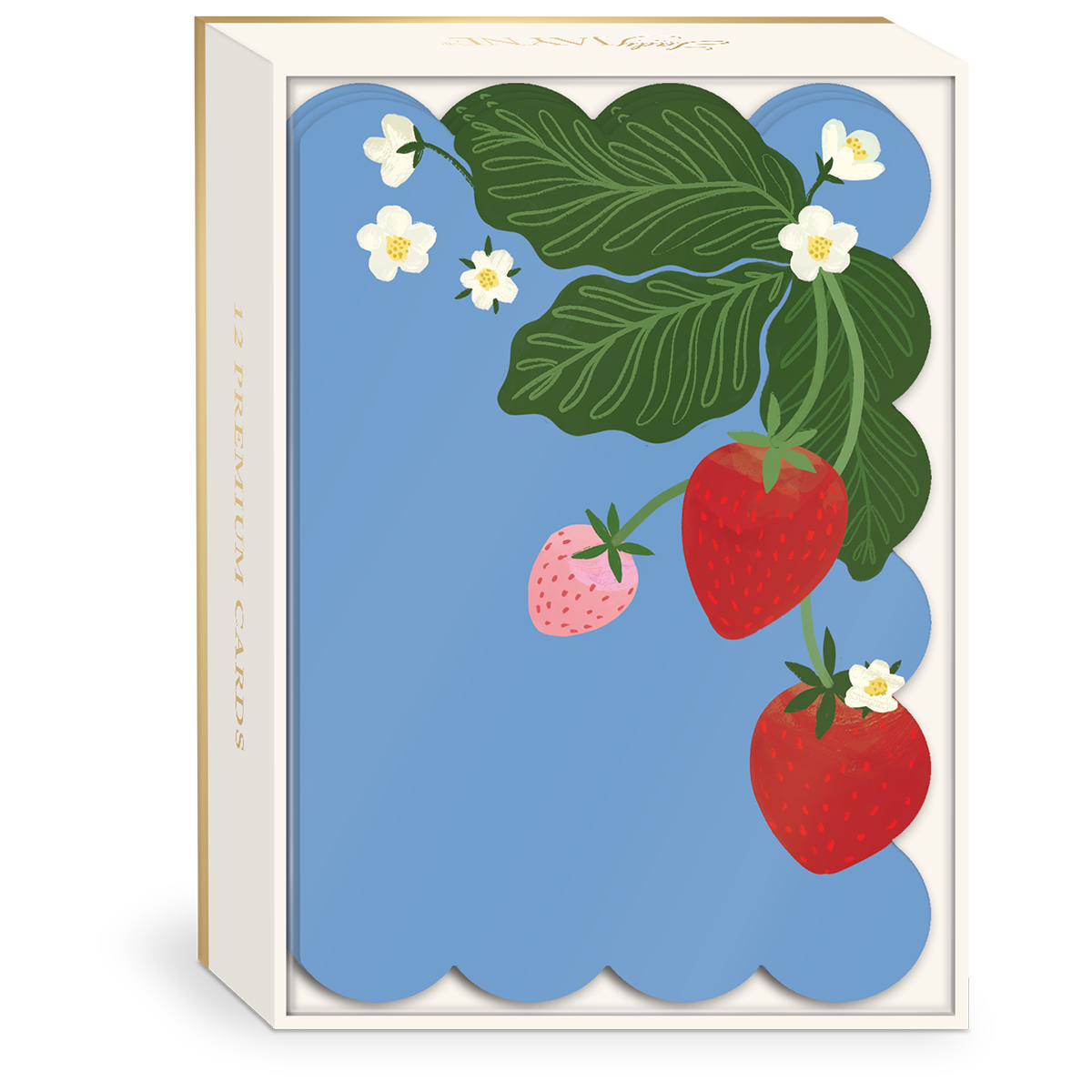Strawberries Blank Boxed Note Cards
