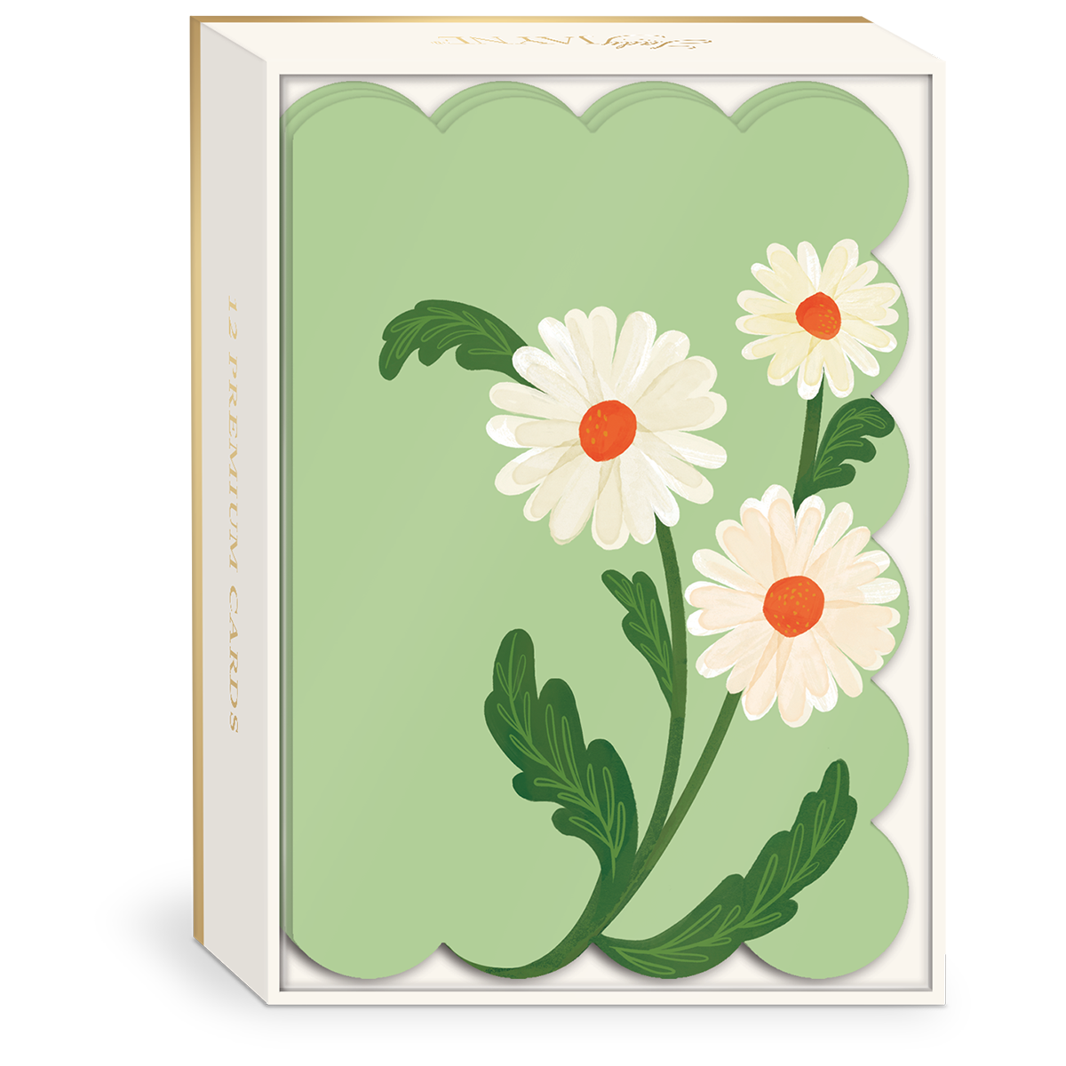 Fruit & Fleur Daisies Blank Boxed Note Cards