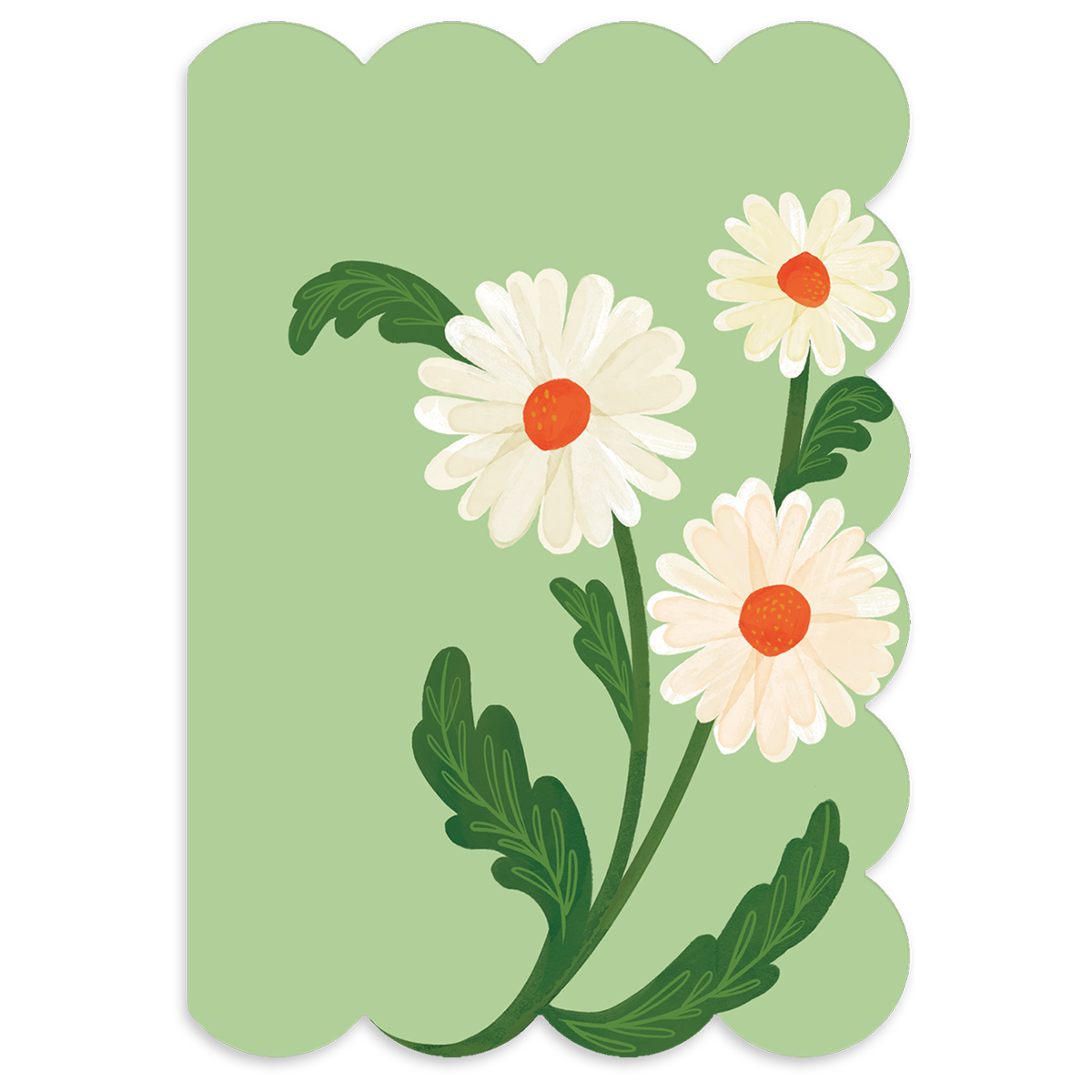 Fruit & Fleur Daisies Blank Boxed Note Cards
