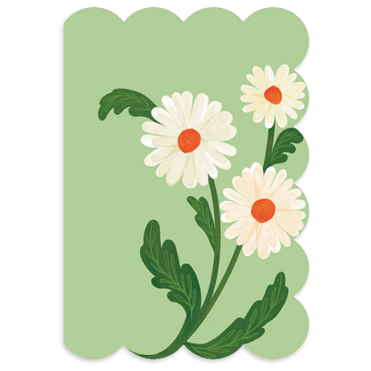Fruit & Fleur Daisies Blank Boxed Note Cards