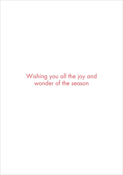 Boughs Of Joy Holiday Half Boxed Cards