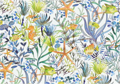 Ocean Dream Blank Boxed Note Cards