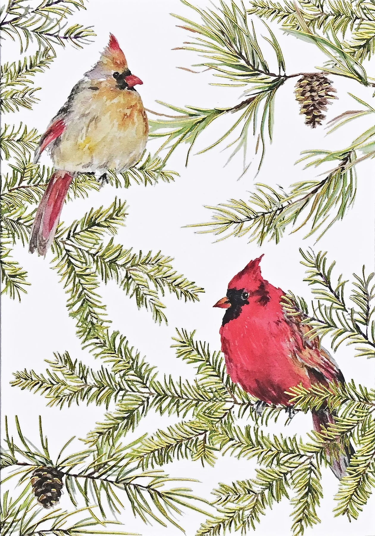 Cardinals In Evergreen Holiday Half Boxed Cards