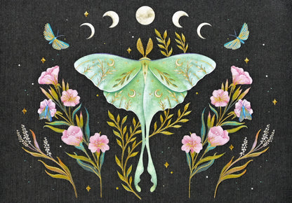 Luna Moth Blank Boxed Cards