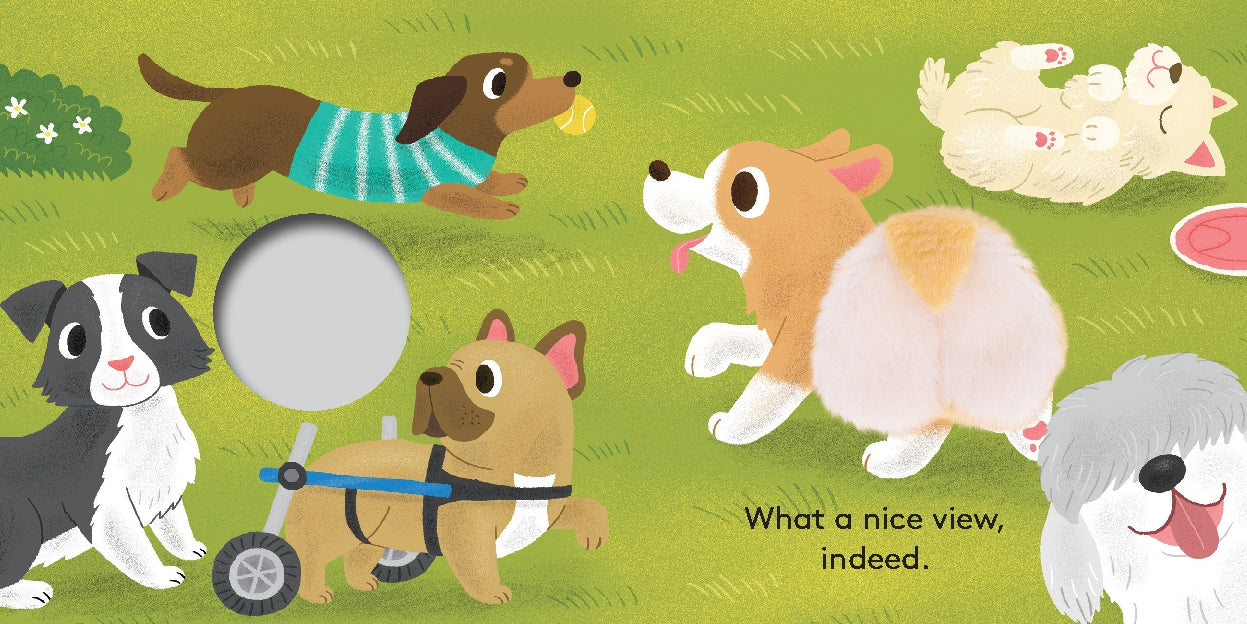 Baby Corgi Butt: Little Finger Puppet Book
