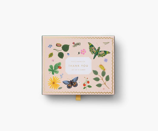 Curio Thank You Keepsake Boxed Cards