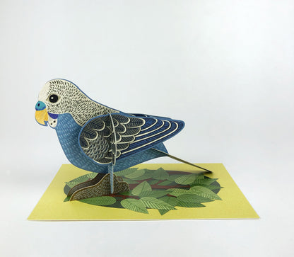 Popout Budgie Card