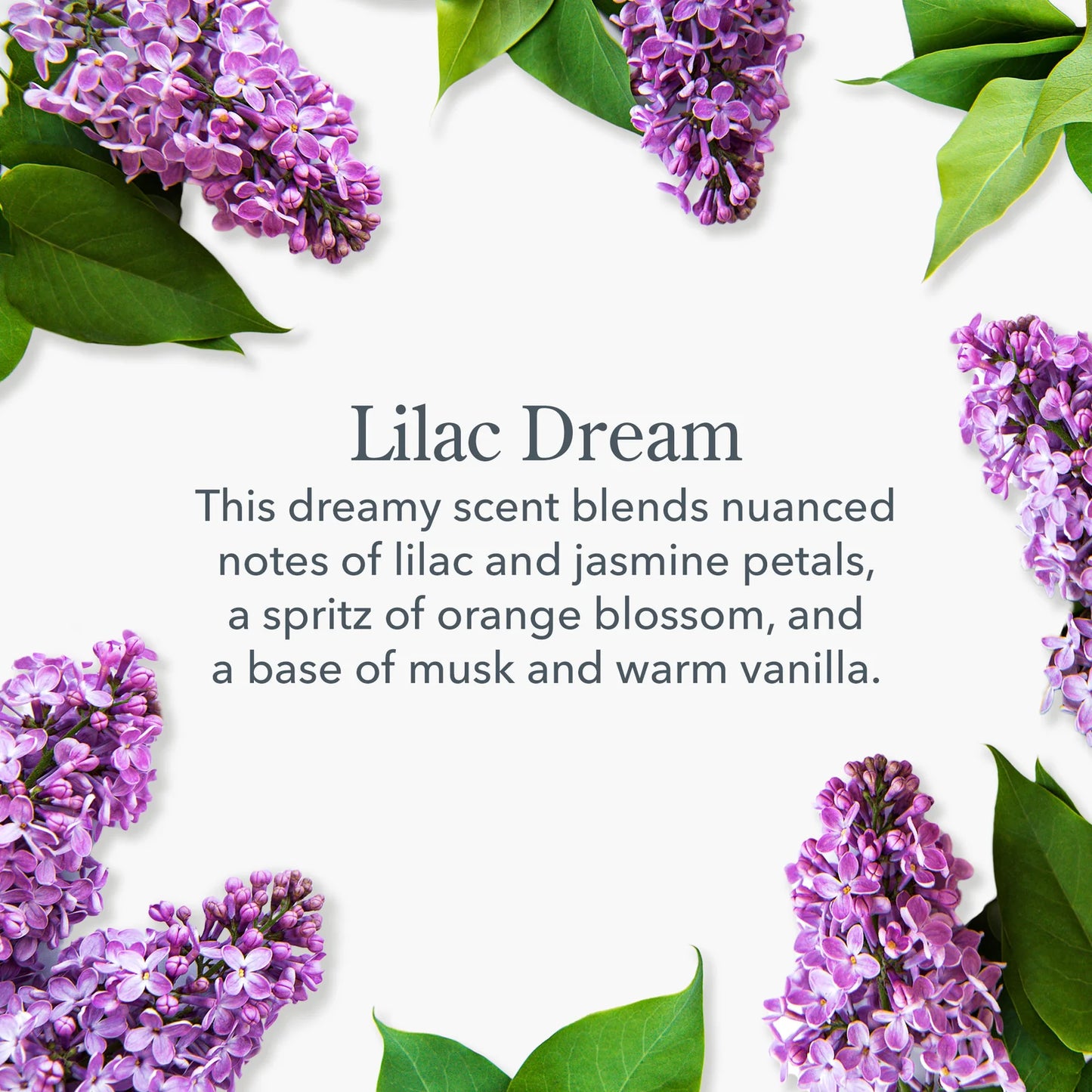 Lilac Dream Mini Hand Cream 2oz