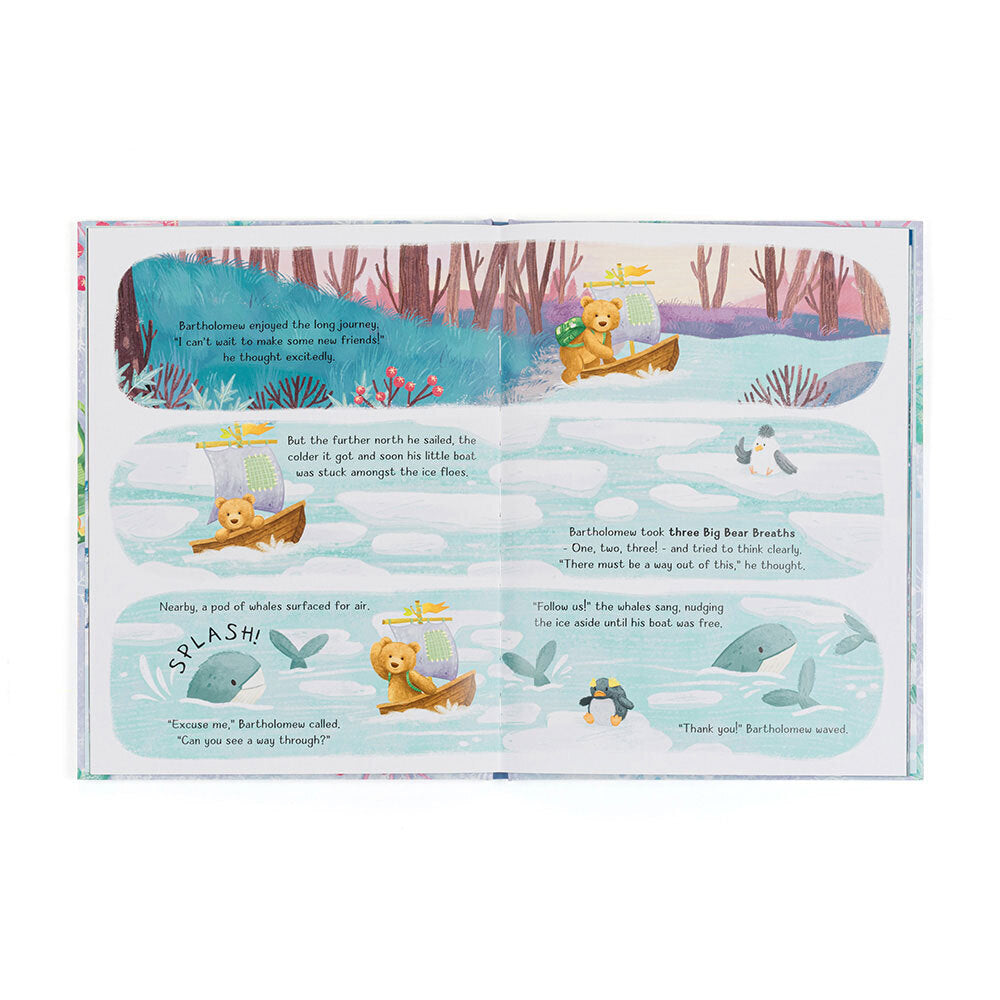 Bartholomew Bear and the Snow Book