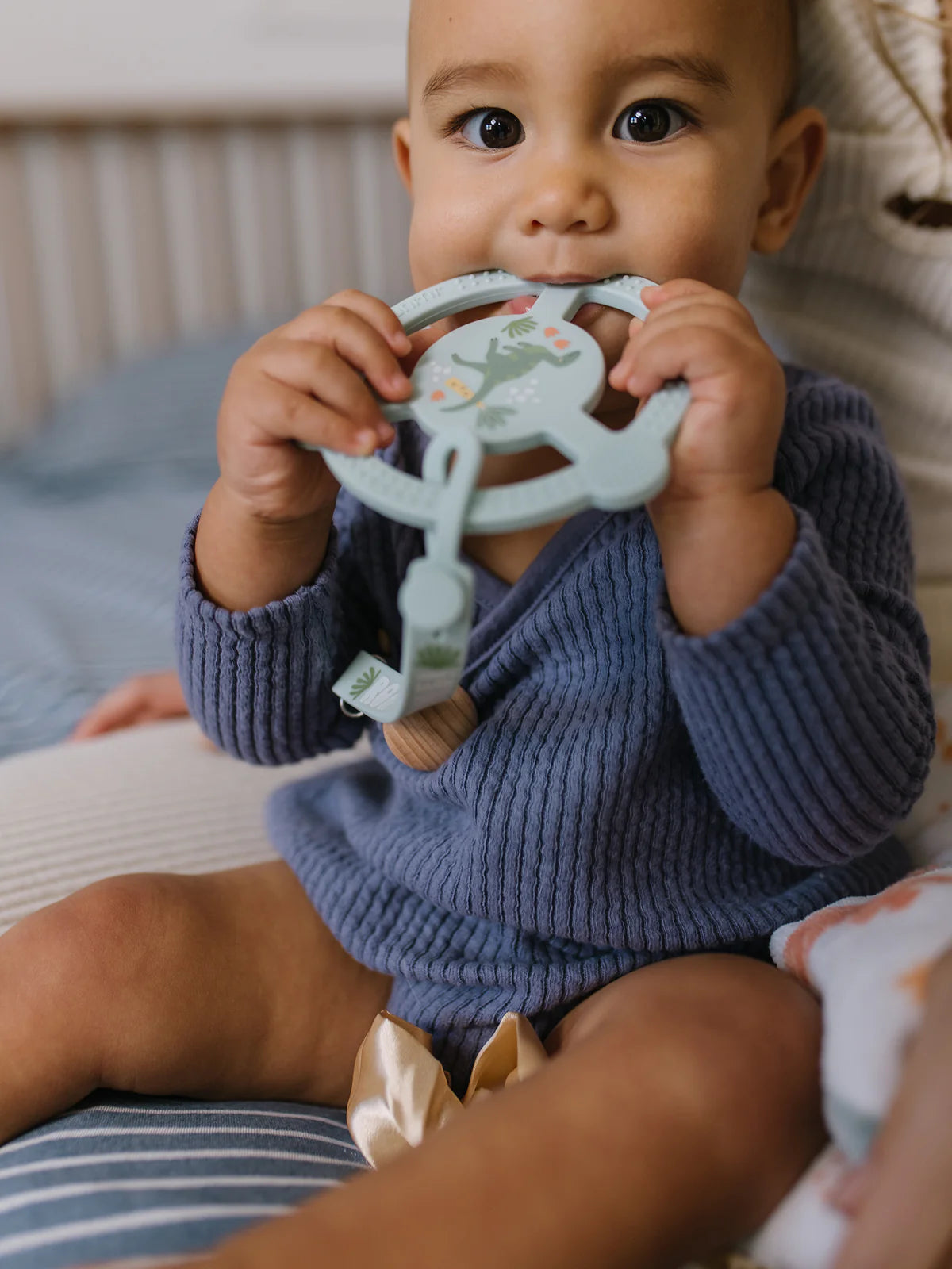 Silicone Teether Ring with Detachable Clip Roarsome