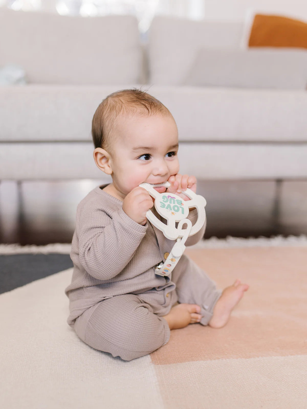 Silicone Teether Ring with Detachable Clip Love Bug