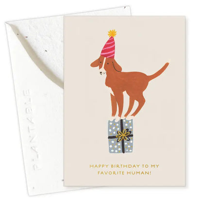 Birthday Dog Sprout Mini Greeting Card
