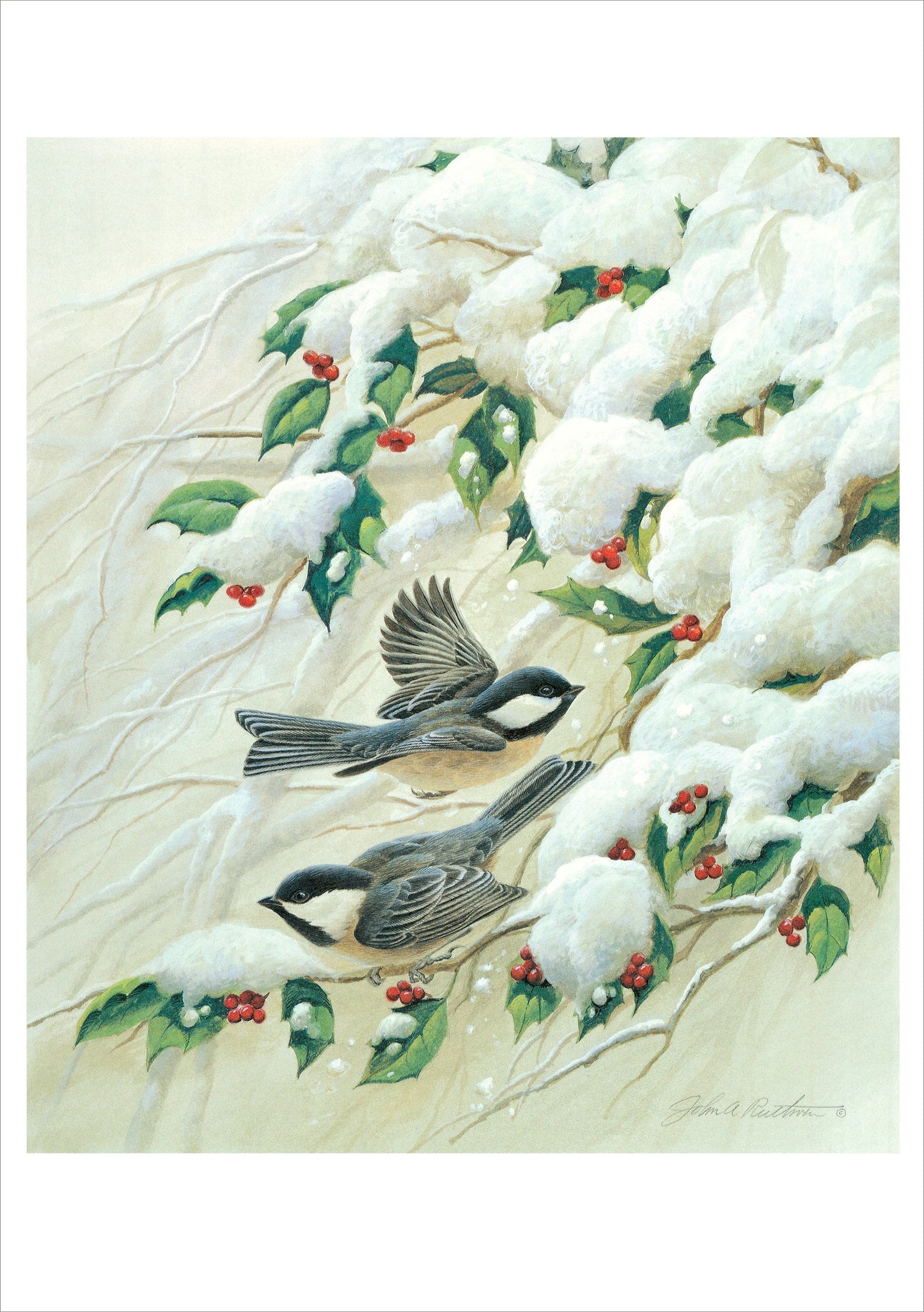 John Ruthven Black Chapped Chickadees Holiday Boxed Cards