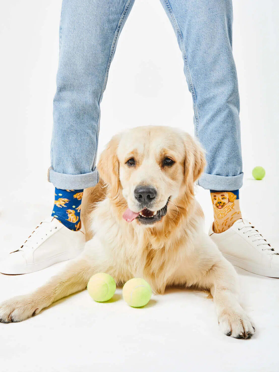 Dog sitting on a white floor with tennis balls and a person wearing colorful socks in the background.