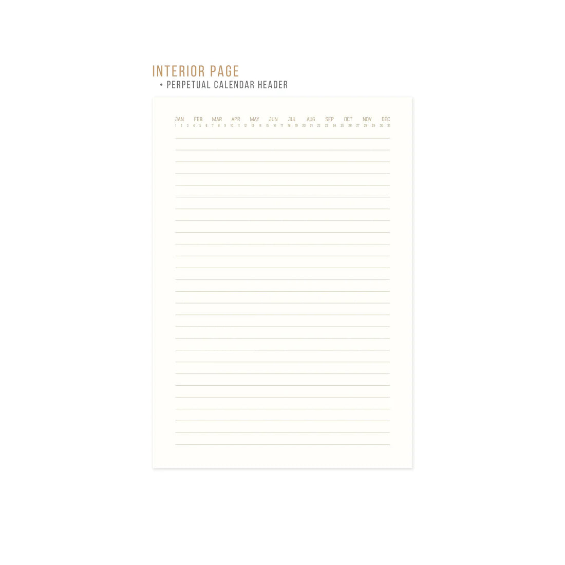 Radiant Journal Avocado