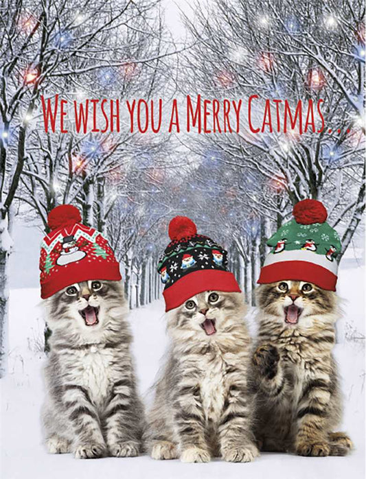 Cats with Hats Singing Christmas Boxed Cards