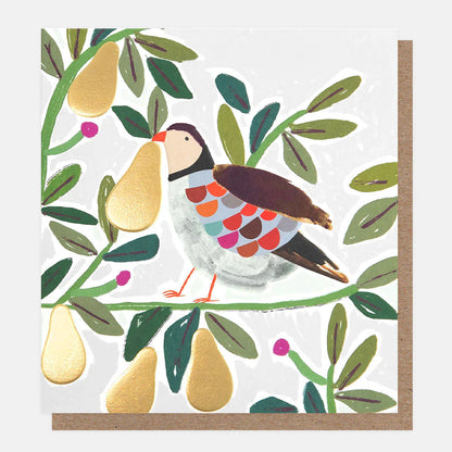 Partridge and Robin Card Pack of 8